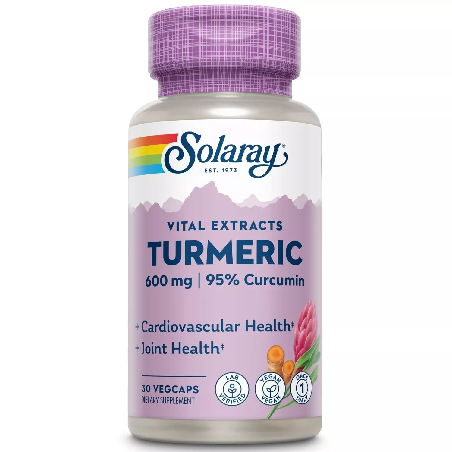 SOLARAY Turmeric Supplement 600mg - Turmeric Root with 95% Curcumin - Joint Support Supplement - Joint Health, Gallbladder and Liver Support, Non-GMO, Vegan, Gluten Free, 60-Day Guarantee, 60 Servings